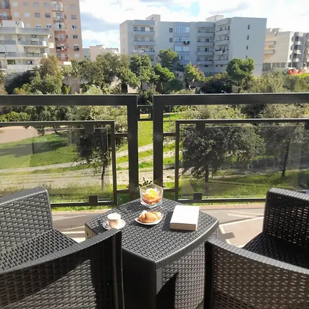 Belvedere Da Madia モノーポリ