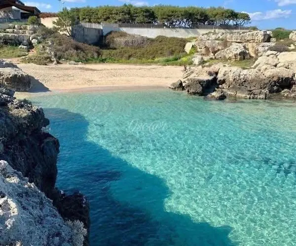 Belvedere Da Madia